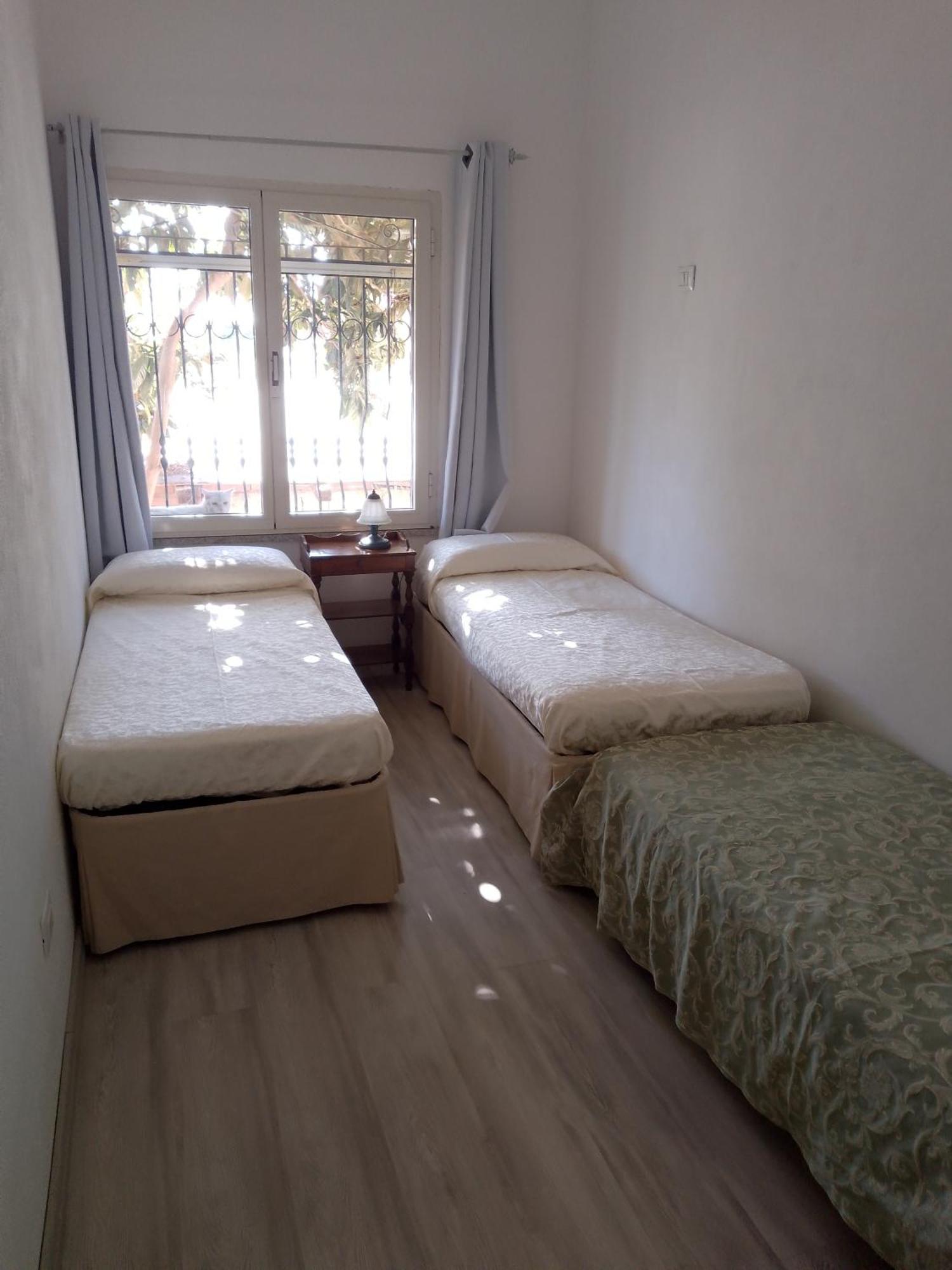 Villa Sa Minda Noa 2 Camere 2 Bagni Aria Condizionata E Giardino Olbia Exterior foto